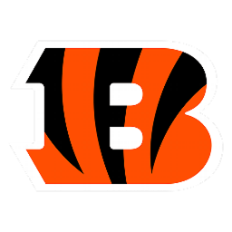 CIN logo